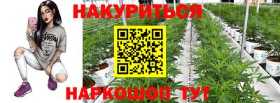 эйфоретик Кингисепп